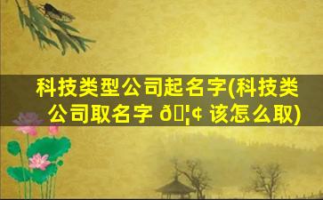 科技类型公司起名字(科技类公司取名字 🦢 该怎么取)